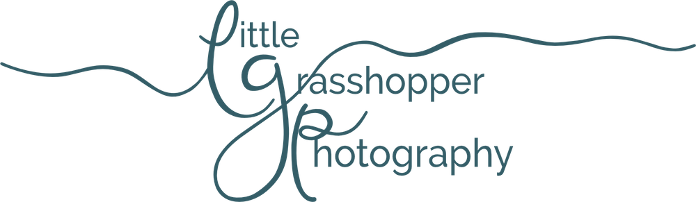 Little Grasshopper Photography